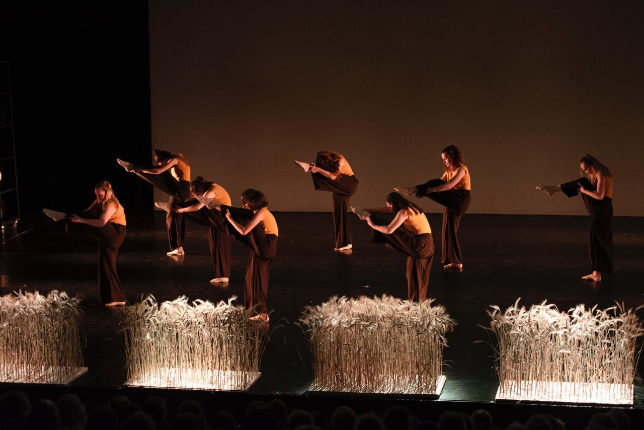 Spectacle barre au sol
