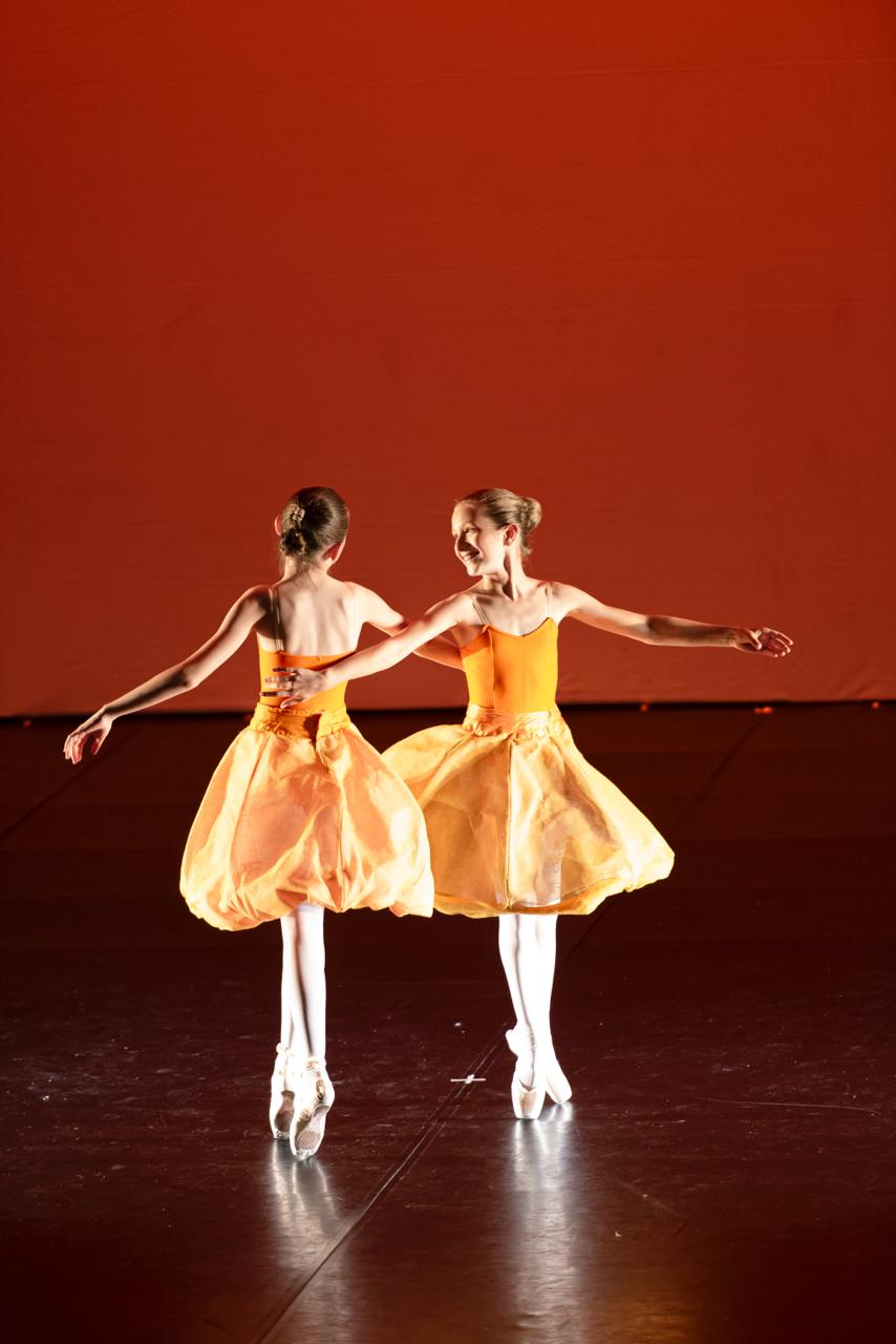 Danse classique