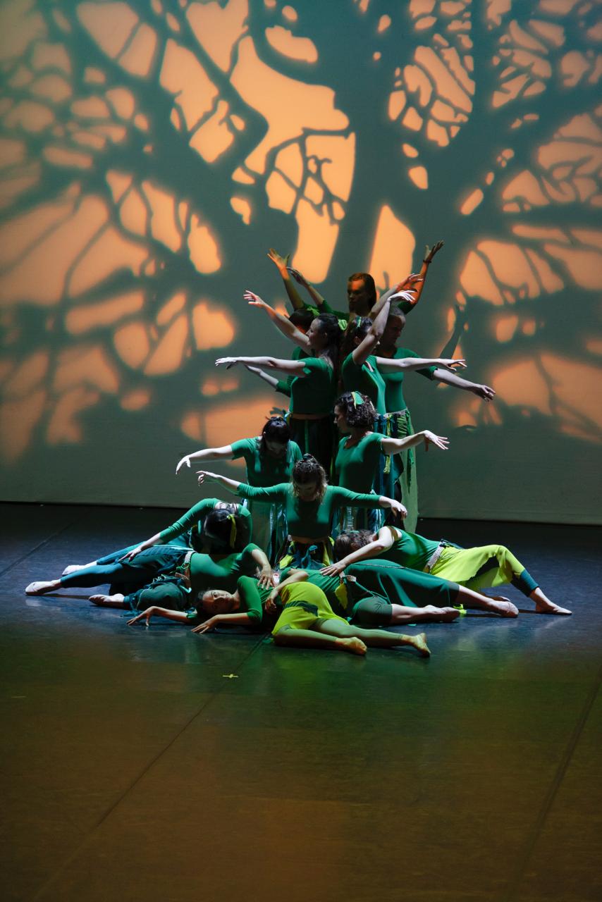 Spectacle de l'école