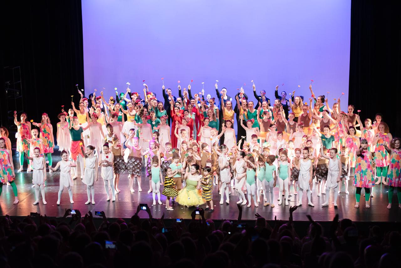 Spectacle annuel CL Danse