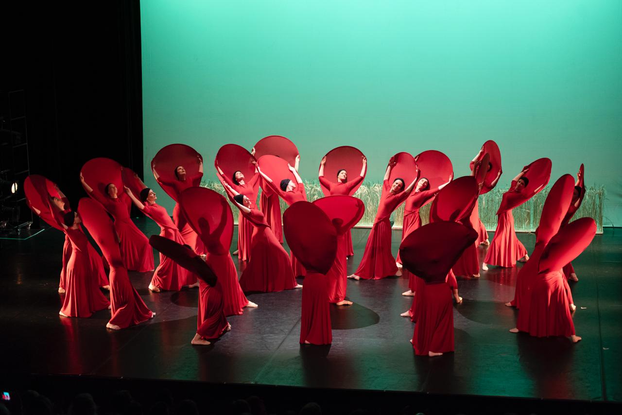 Cours particuliers de danse